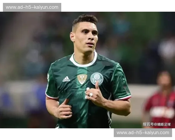 绿白巅峰对决：桑托斯与帕尔梅拉斯，百年恩怨与足球荣耀的交响曲